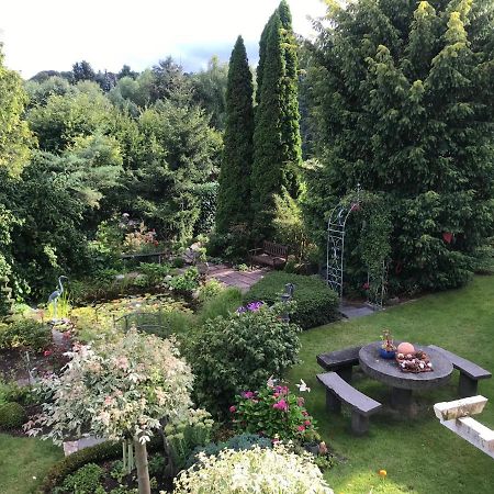 Апартаменты Gruene Oase Kottenheim Экстерьер фото